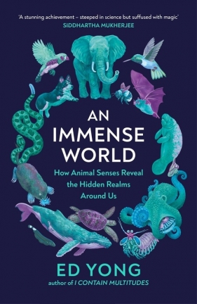 An Immense World - Yong Ed
