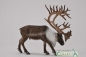Renifer (004-88709)