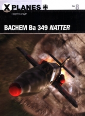 Bachem Ba 349 Natter - Robert Forsyth