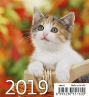 Kalendarz biurkowy Mini Kotki 2019 10 sztuk (SM20-19)