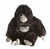 Goryl 20cm