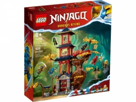 Klocki Ninjago 71795 Świątynia smoczej energii (71795)