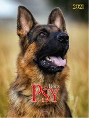 Kalendarz 2021 Psy (Uszkodzona okładka)