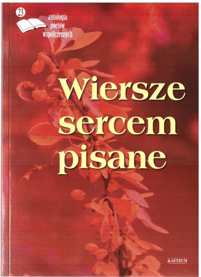 <img src='https://webimage.pl/pics/100/1/d9788382981100.jpg'>