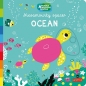 Ocean. Akademia mądrego dziecka. Niesamowity spacer - Nathalie Choux