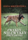 Zwykły niezwykły przyjaciel Mrzewińska Zofia