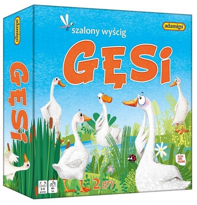 Gęsi - szalony wyścig