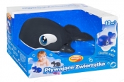 Pływające zwierzątka czarny