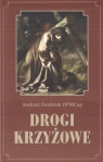  Drogi krzyżowe