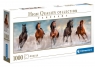 Puzzle High Panorama Quality Collection 1000: Horses (39607)