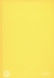 Brulion A5 Color Blocking w kratkę 96 kartek żółty - <br />