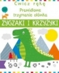 Ćwicz rękę. Zygzaki i krzyżyki - Joe Potter