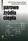 Parowe źródła ciepła  Mizielińska Krystyna, Olszak Jarosław