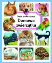 Domowe zwierzątka. Świat w obrazkach - Émilie Beaumont, Marie-Renee Guilloret