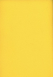 Zeszyt B5 Rainbow w kratkę 96 kartek żółty - <br />