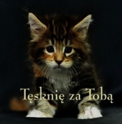 Ziarenka 17 Tęsknię za Tobą