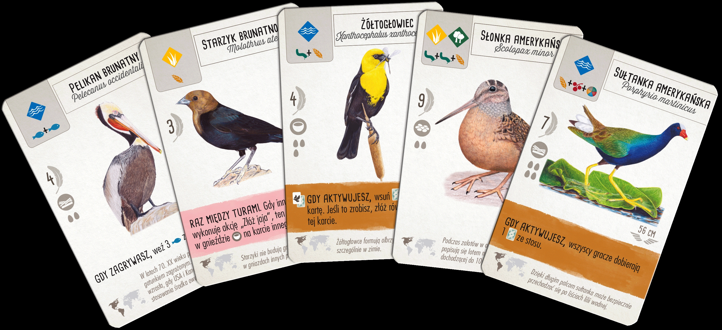 <img src='https://webimage.pl/pics/102/3/d5902650613102---8.png'>