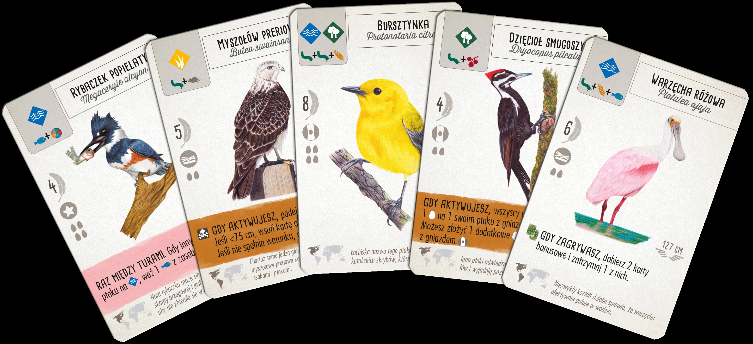 <img src='https://webimage.pl/pics/102/3/d5902650613102---9.png'>