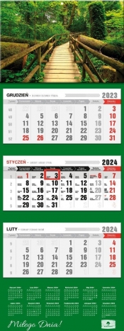 Kalendarz 2024 trójdzielny Uroczy Las KT-2 v.51