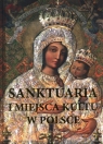 Sanktuaria i miejsca kultu w Polsce Werner Joanna