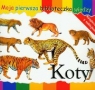 Koty Moja pierwsza biblioteczka wiedzy