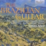 The Brazilian Guitar  Flavio Apro
