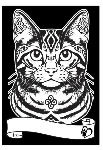 <img src='https://webimage.pl/pics/103/0/d8024238050103.jpg' style='height:440px' /> Kolorowanka welwetowa A4 Kot europejski