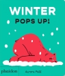 Winter Pops Up! 2 - 2 Aurore Petit
