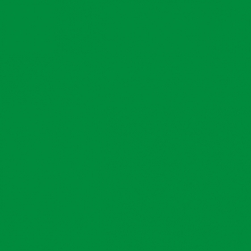 Karton A3 Iris 185g.ciemnozielony Ca40210
