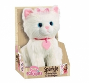 Scruffies Kotek Iskierka