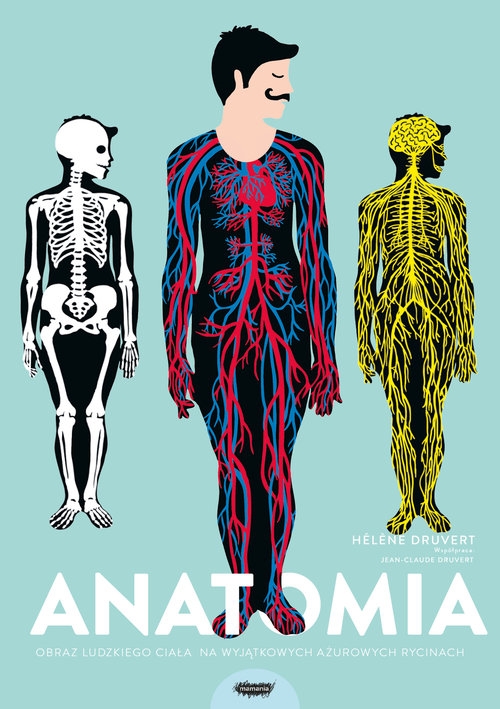 Anatomia Obraz ludzkiego ciała na wyjątkowych ażurowych rycinach (Uszkodzona okładka)