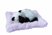 Śpiący kotek na poduszce - biało czarny (107103)