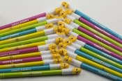 Długopis usuwalny kaczki 0,5 niebieski 12 sztuk