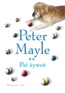 Psi żywot Mayle Peter