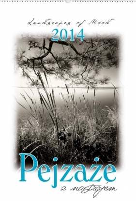 Kalendarz 2014 RW 10 Pejzaże z nastrojem - <br />