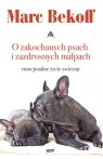 O zakochanych psach i zazdrosnych małpach. Emocjonalne życie zwierząt