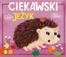 Historyjki harmonijki Ciekawski jeżyk