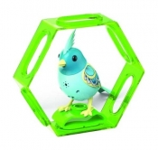 DigiBirds 3 z ramką Chief - <br />