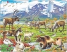  Układanka Flora i fauna arktycznej tundry 50 elementów