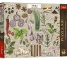 <img src='https://webimage.pl/pics/104/6/d5900511376104.jpg' width='400' height='352'> Puzzle 500 Finders Keepers: Przyprawy TREFL