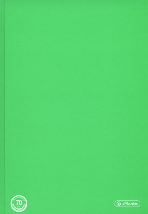 Brulion A5 Color Blocking w kratkę 96 kartek zielony