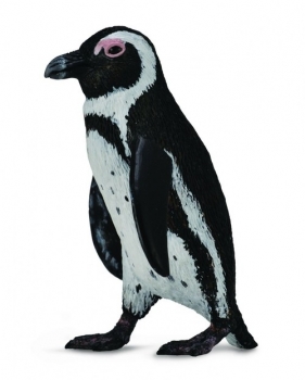 Pingwin przylądkowy S (004-88710)