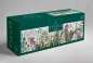 Interdruk, Puzzle panoramiczne 1000: Flowers 4 - Ferns