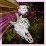  Alva (Digipack)