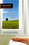 Krzyk ciszy Flock Elizabeth