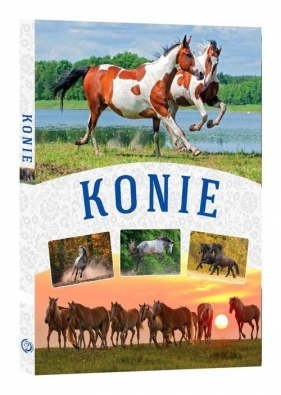 Konie - Małgorzata Mąkosa