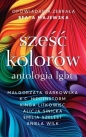 Sześć kolorów antologia LGBT - Opracowanie zbiorowe