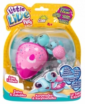 LITTLE LIVE PETS Żołw i Żółwik, Różowo-zielony (MO-28315-3)