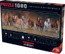 Puzzle Panoramic 1000: Dzikie konie (1010)