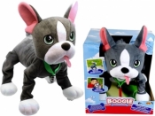 Boogie - Psi rozrabiaka Buldog